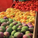 Cool green events at Swan Market