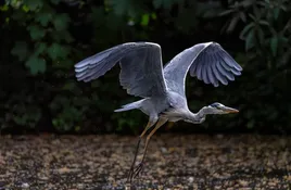 In vogelvlucht